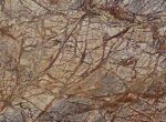 Cafe Forest Brown Marble tile 24x12in – 60x30cm – 600x300mm polished