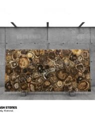 Australian-Petrified-Wood-Stone-round-1-10X5