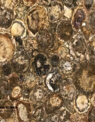 Australian-Petrified-Wood-Stone-round-1
