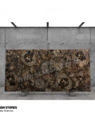 Black-big-round-petrified-wood-stone-10X5