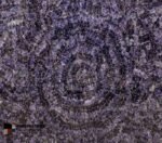 Dark-Amethyst-Tornado-Spiral