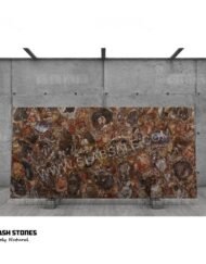 arizona-red-brown-petrified-wood-10X5