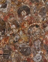 arizona-red-brown-petrified-wood