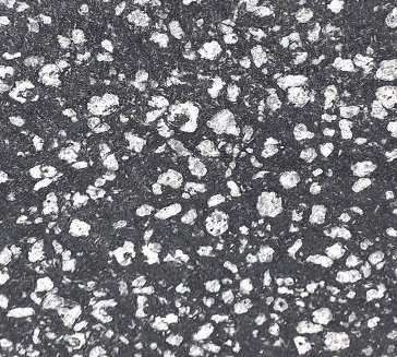 Coin Black Granite tile 12x12in - 30x30cm - 300x300mm polished